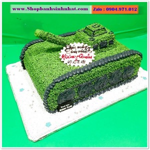 Bánh Sinh Nhật Máy Bay - MA15
